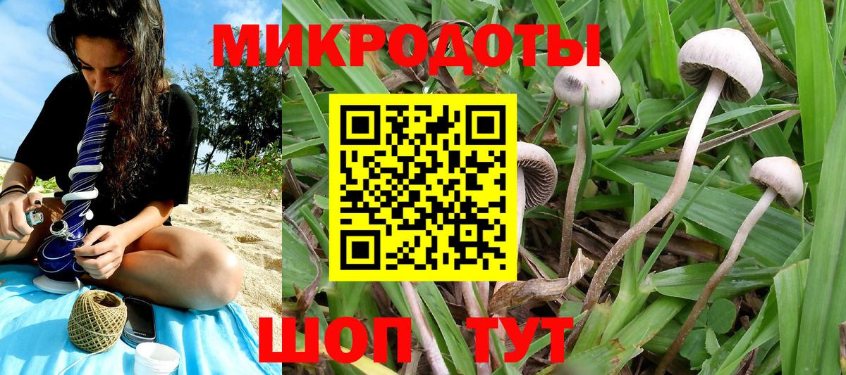 Галлюциногенные грибы мухоморы Карталы